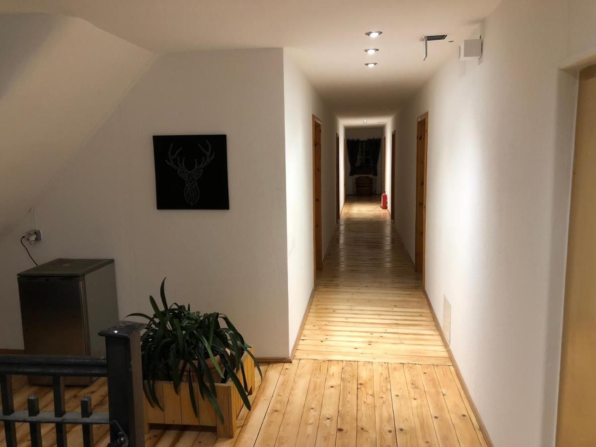 Pension Schwalbenhof Gestut Bartos Lommatzsch 外观 照片